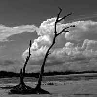 B-W-27