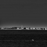 B-W-29