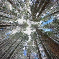 Places-A-25