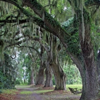 Places-A-61