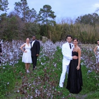 wedding-1