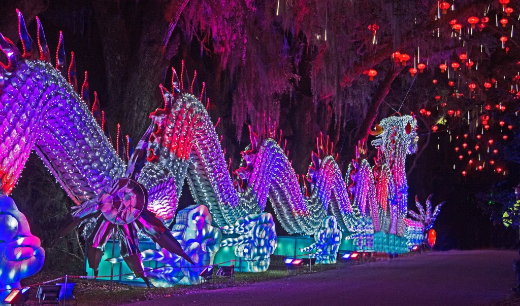Magnolia Lights 0